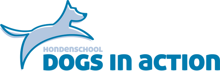Hondenschool Dogs in Action