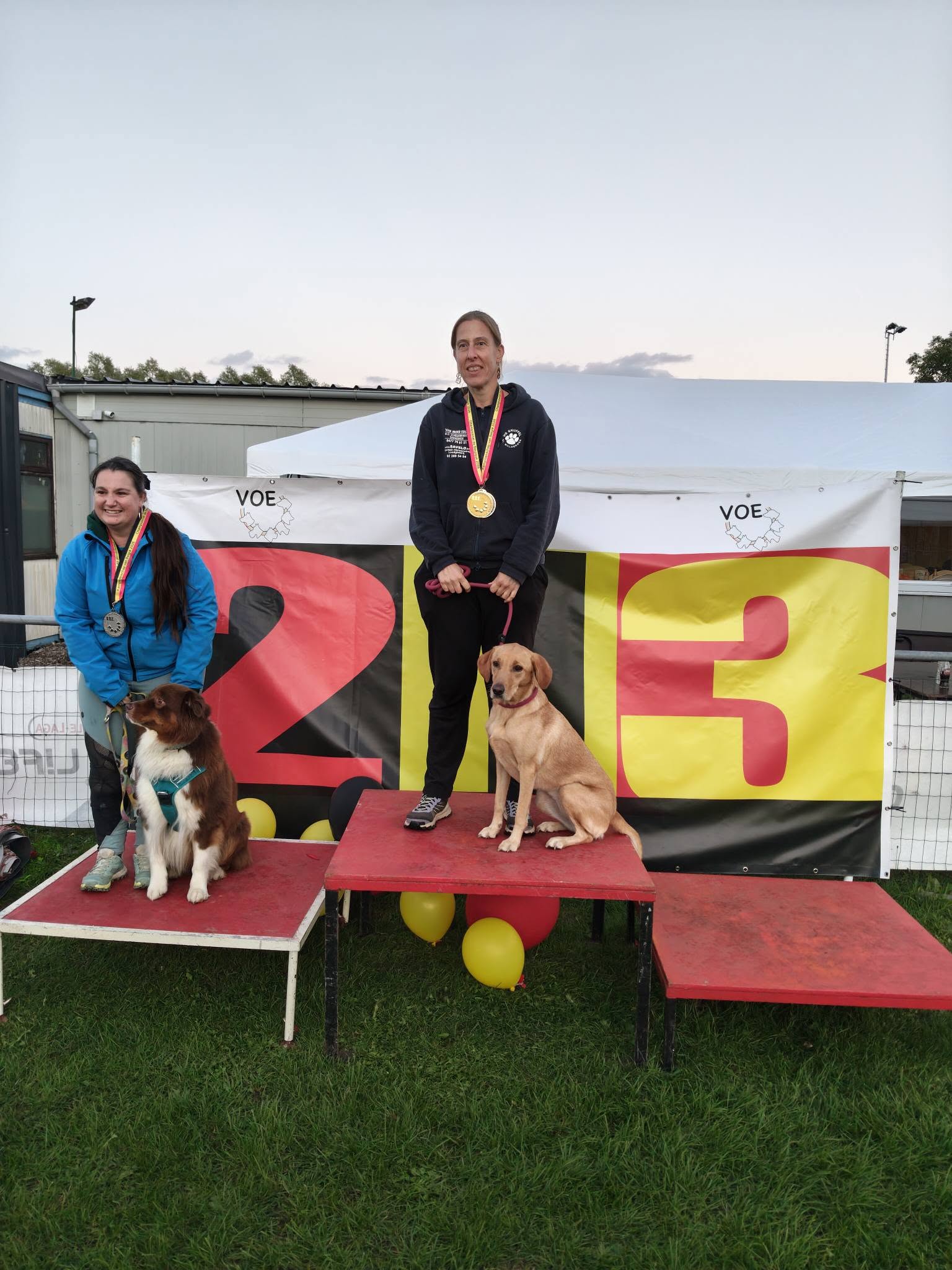 Foto 10 van het BK Agility VOE 2026