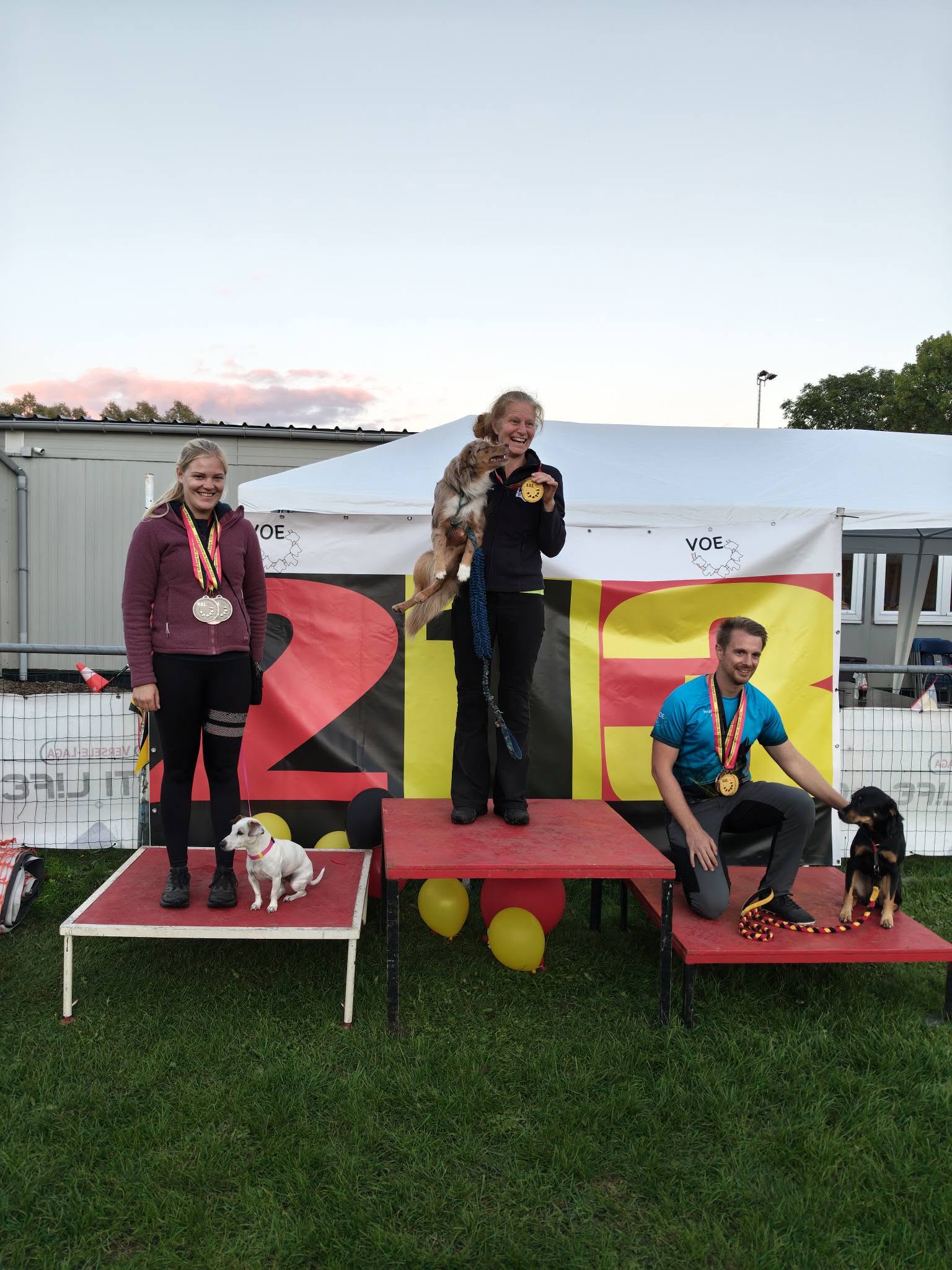 Foto 2 van het BK Agility VOE 2026