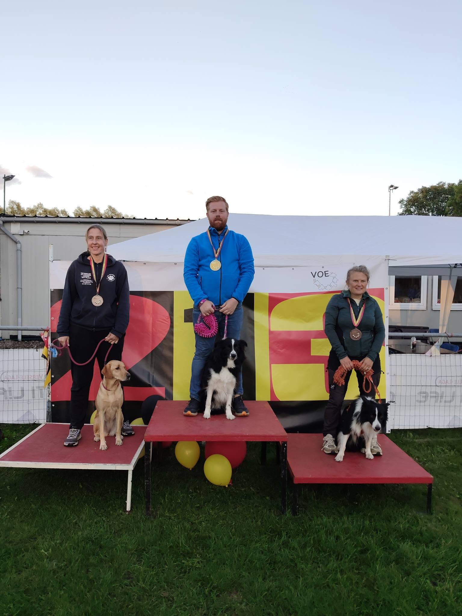 Foto 6 van het BK Agility VOE 2026